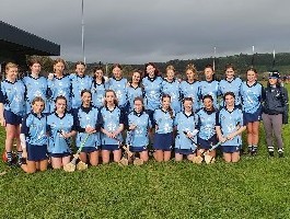 Camogie are County Champs!