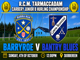 Junior B Hurling Championship Fixture