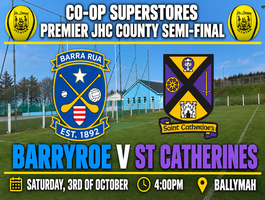 Hurling Championship Fixture - County SF