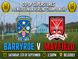 Hurling Championship Fixture