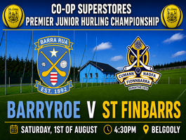 Hurling Championship Fixture