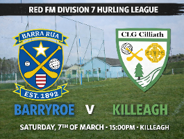 Red FM Division 7 HL Fixture