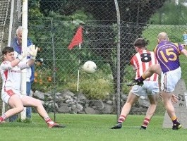 Barryroe players with Carbery Footballers