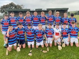 Rebel Og West Hurling Final