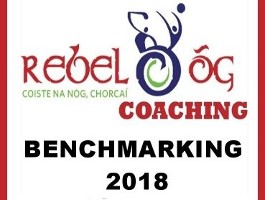 2018 Benchmarking Awards Presentation