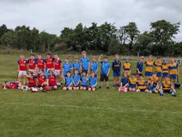 U10 Hurling Blitz