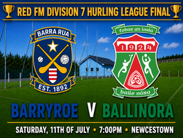 Hurling League Final