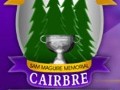 Carbery take  the Premier 2 Minor Hurling Final