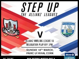 Allianz Hurling League Div 1A Relegation Playoff