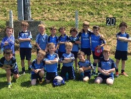 U8 Blitz in Barryroe