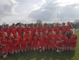 Cork Camogie U16 Success