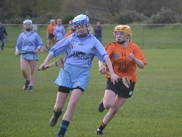 U16 camogie secure title