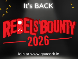 Rebel Bounty Update